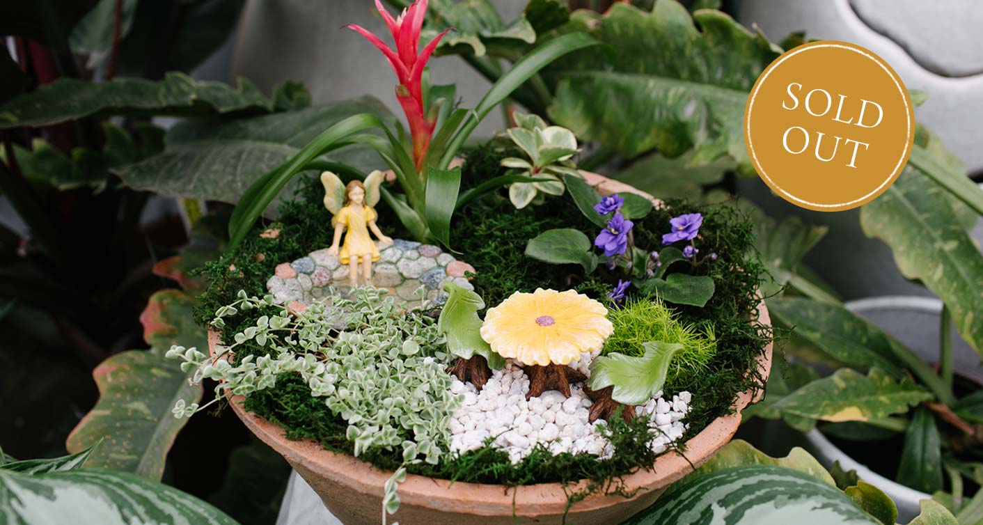 Miniature Garden Workshop at Hoen's Garden Center