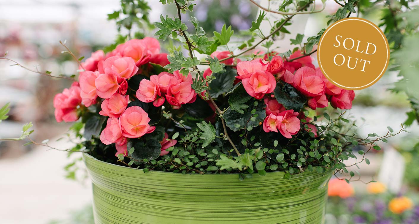 Container Gardens Workshop at Hoen's Garden Center