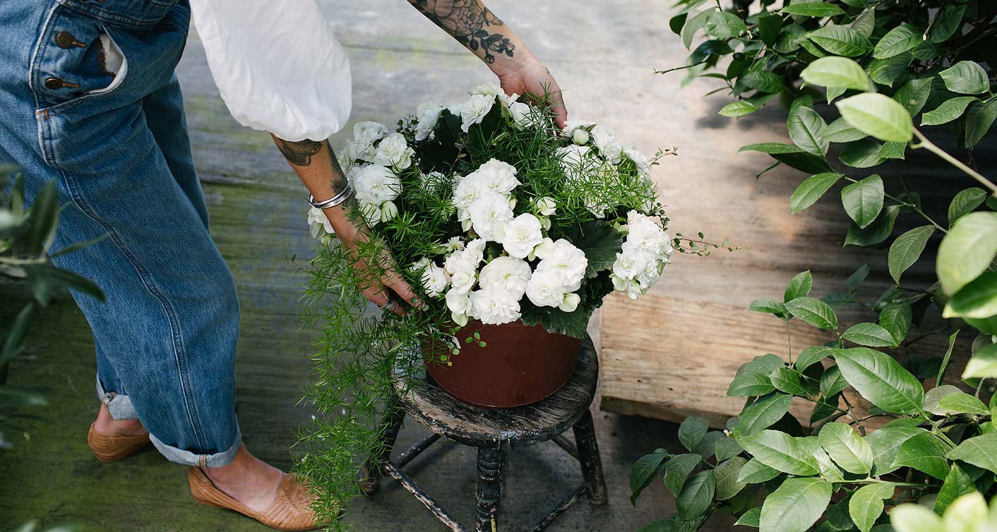Garden Planters For Mom Workshop at Hoen's Garden Center