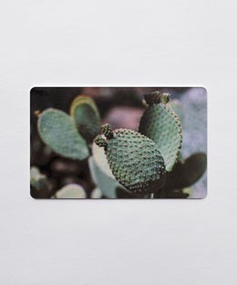 Hoen's Gift Card - Cactus