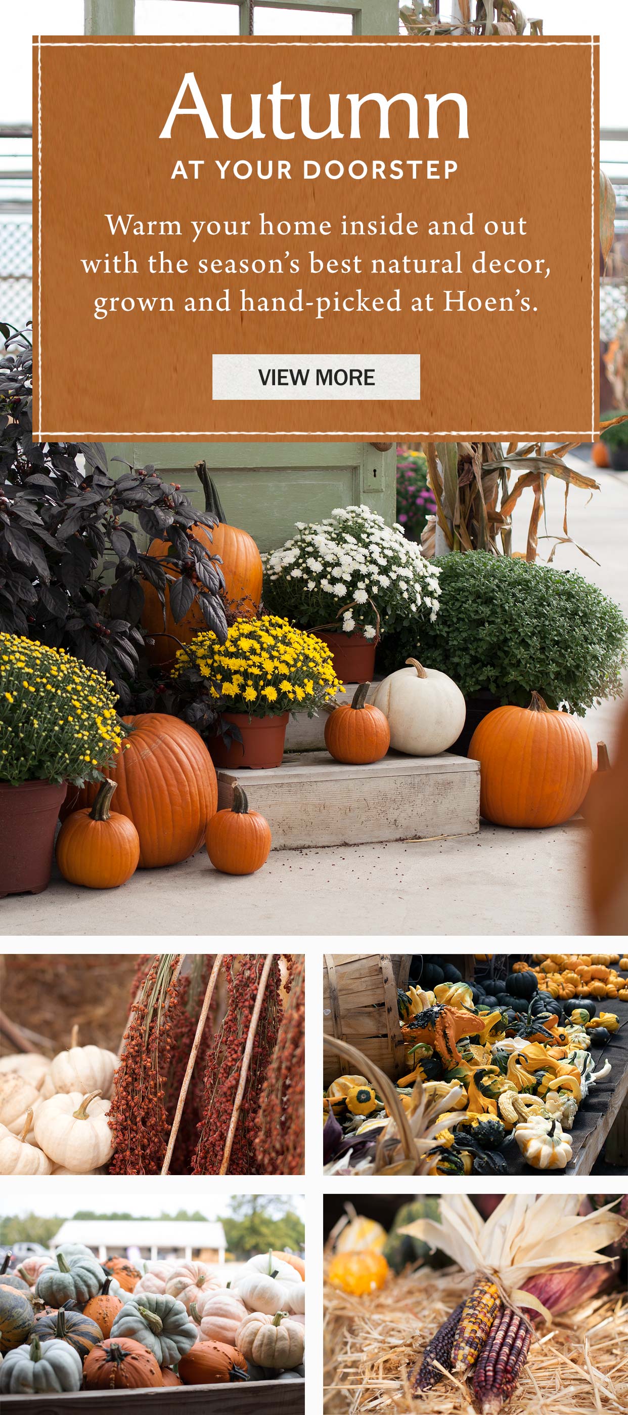 Pumpkins, gourds, broom corn, and more at Hoen's Garden Center