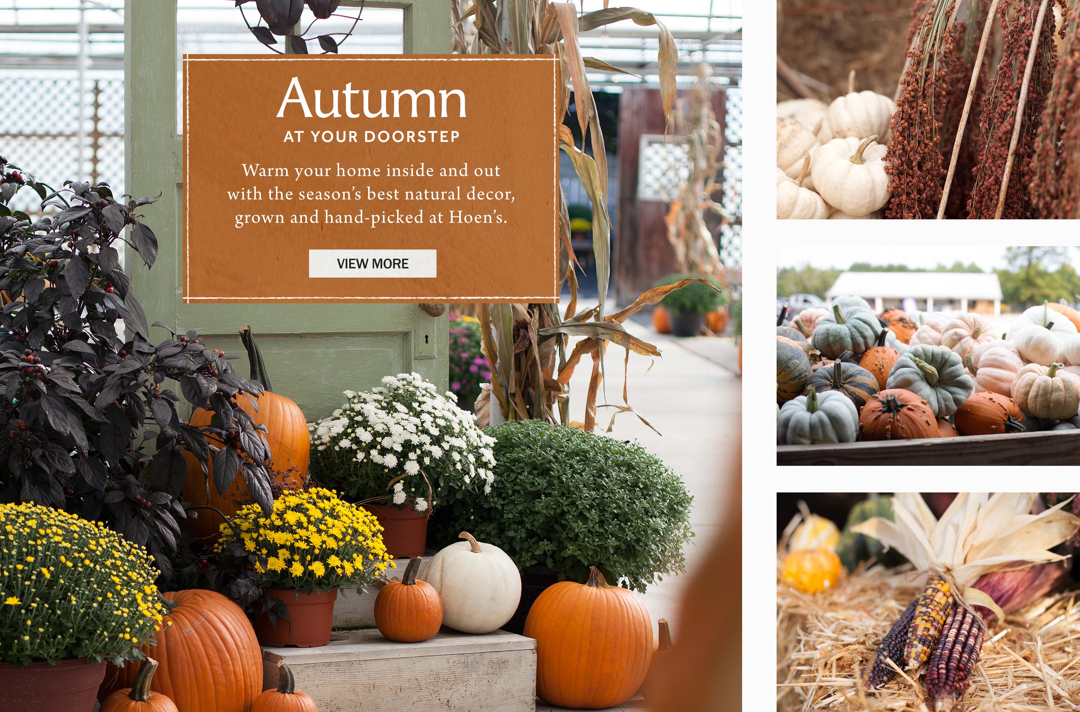 Pumpkins, gourds, broom corn, and more at Hoen's Garden Center