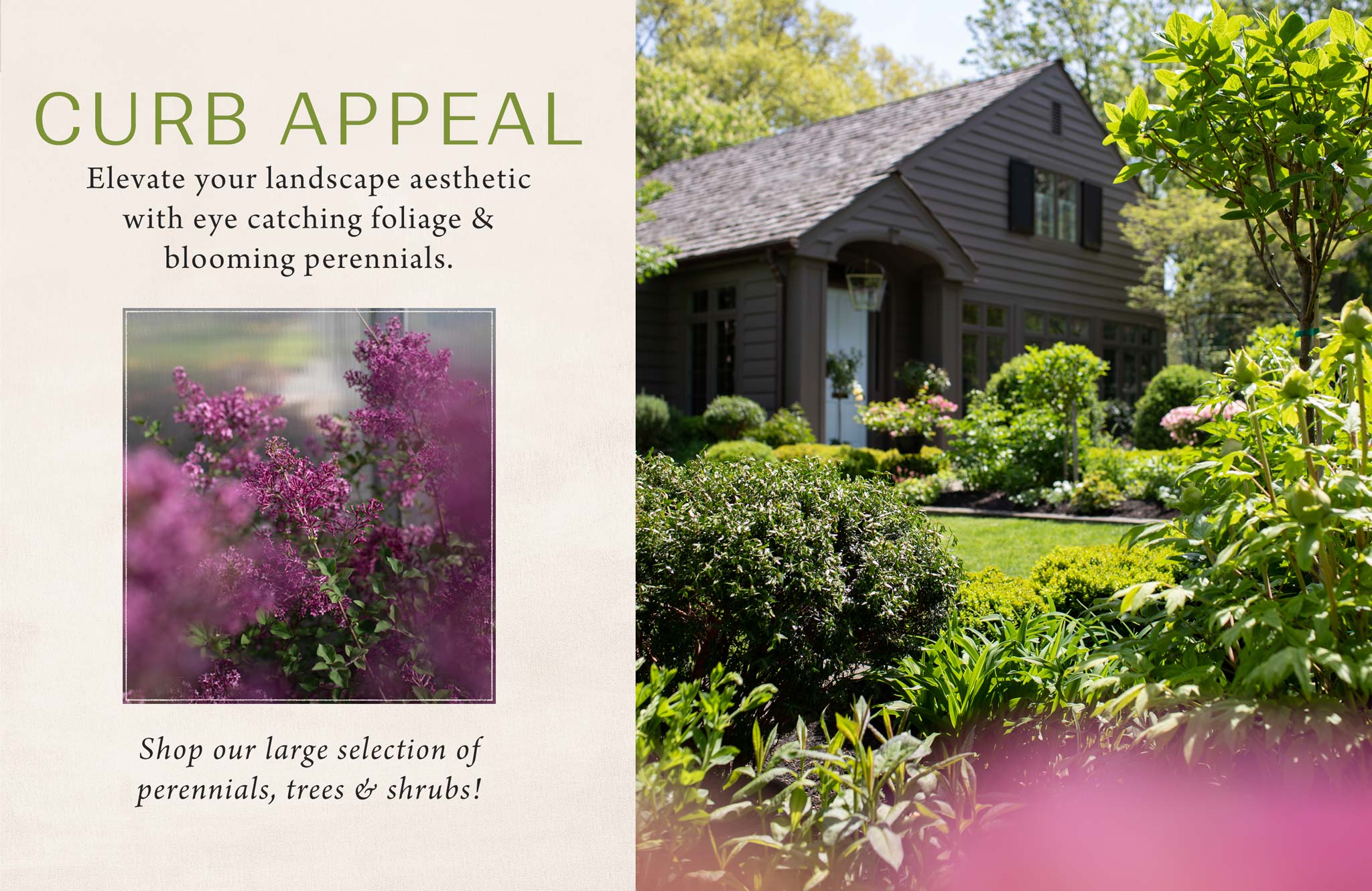 Perennials, Trees and Shrubs at Hoen's Garden Center