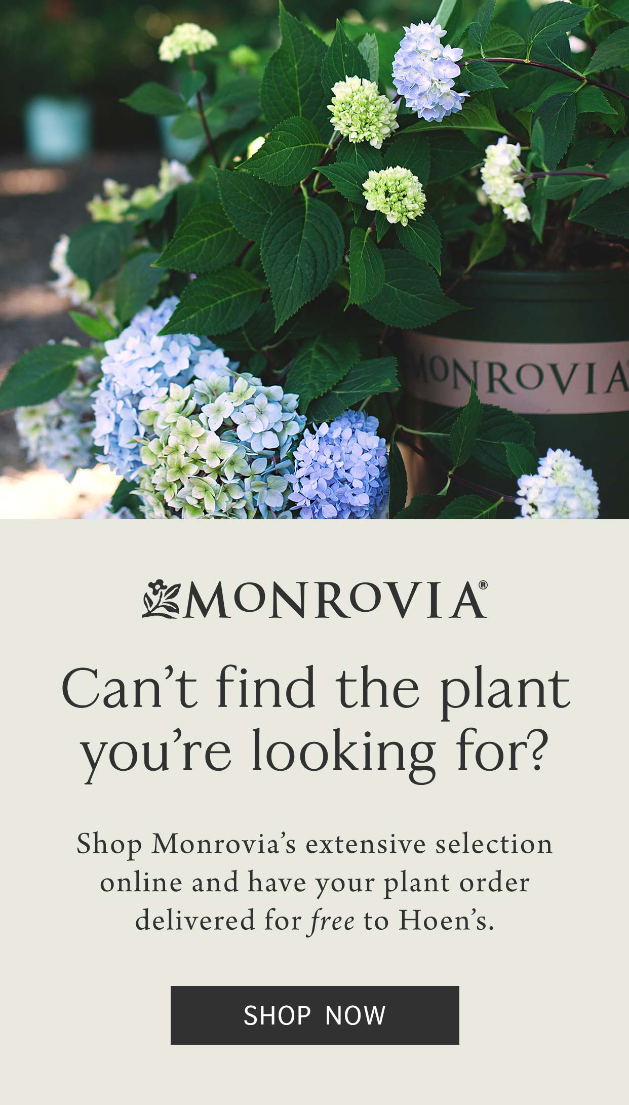 shop monrovia