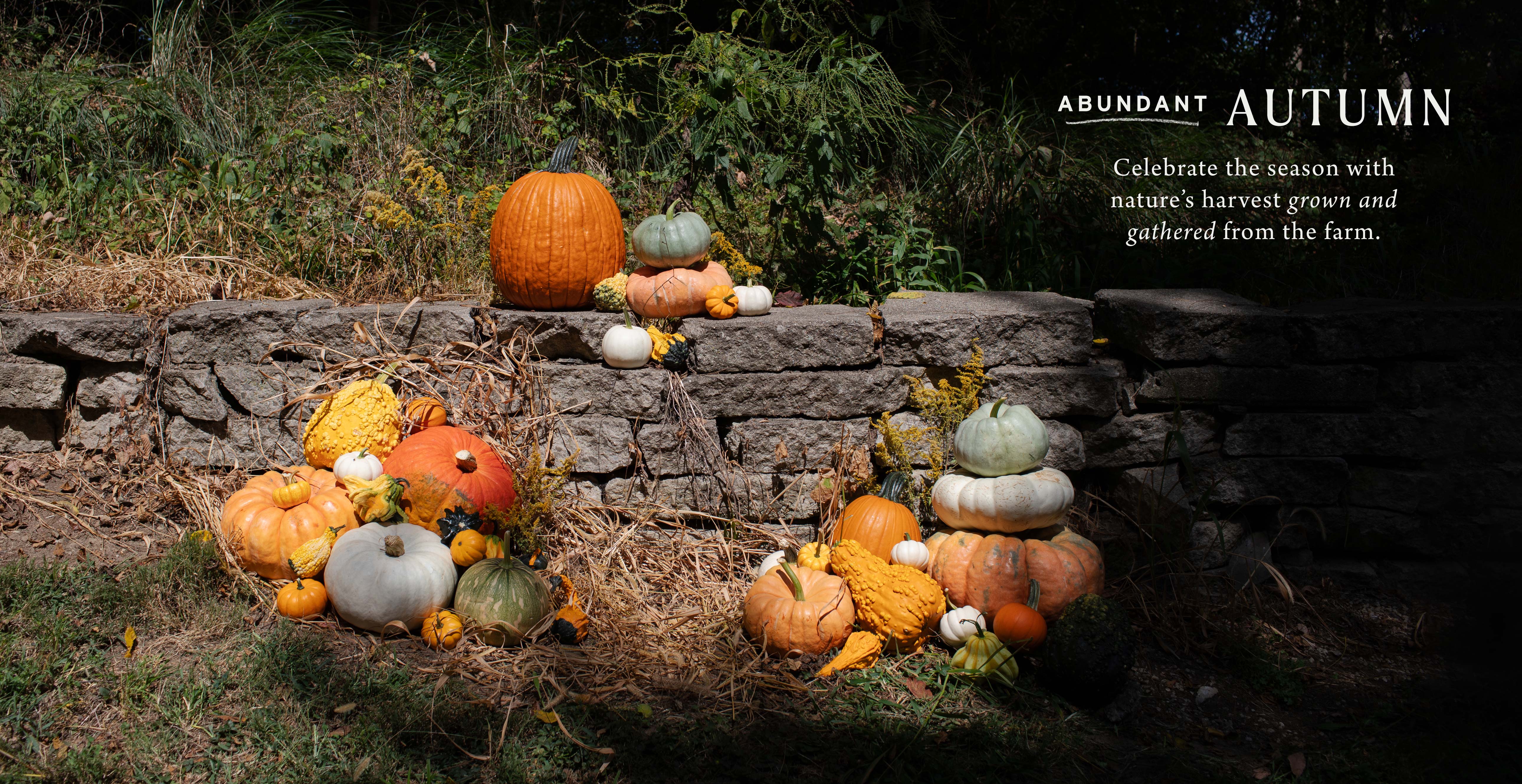 Abundant Autumn at Hoen's Garden Center