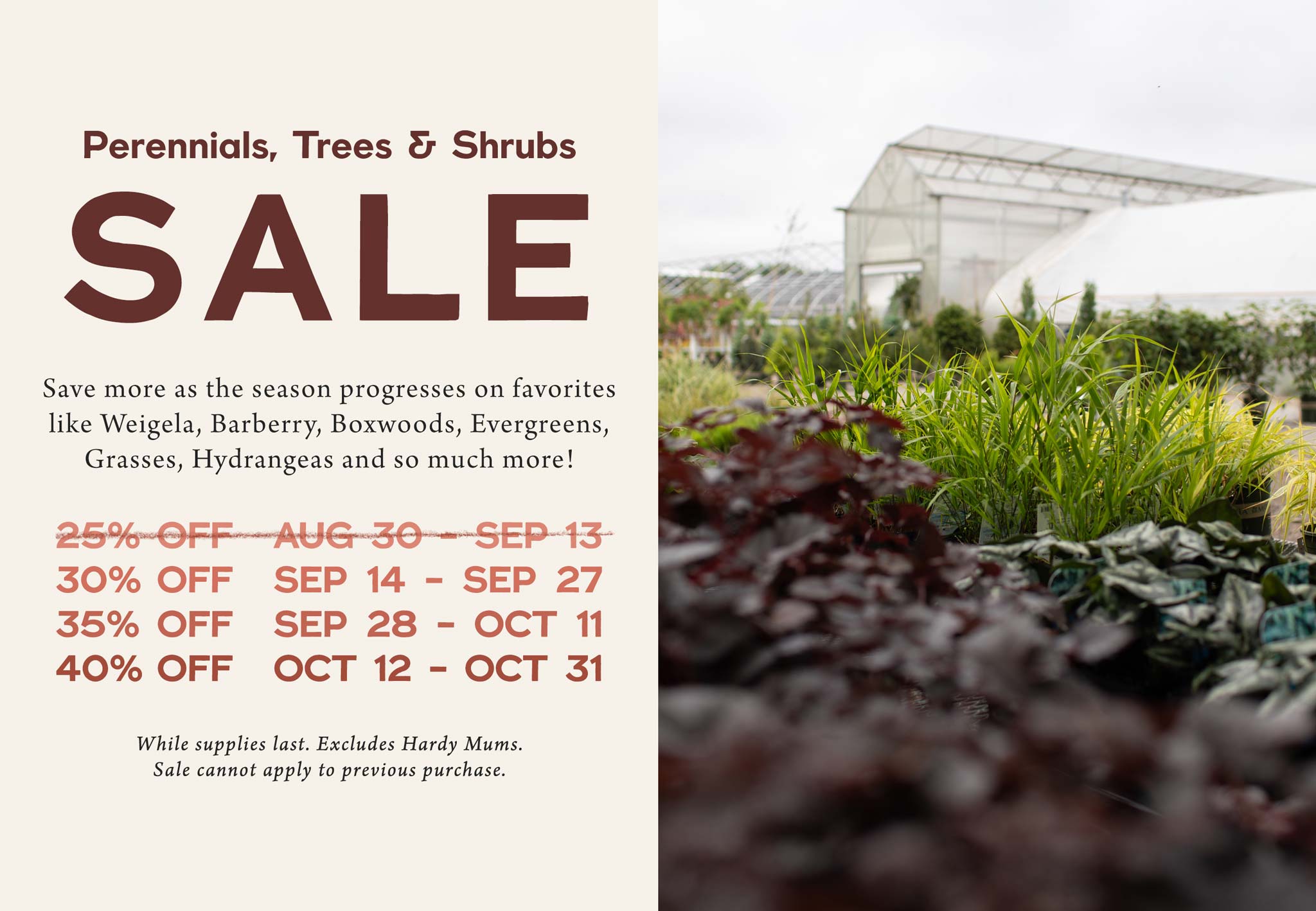 Perennials, Trees and Shrubs SALE at Hoen's Garden Center