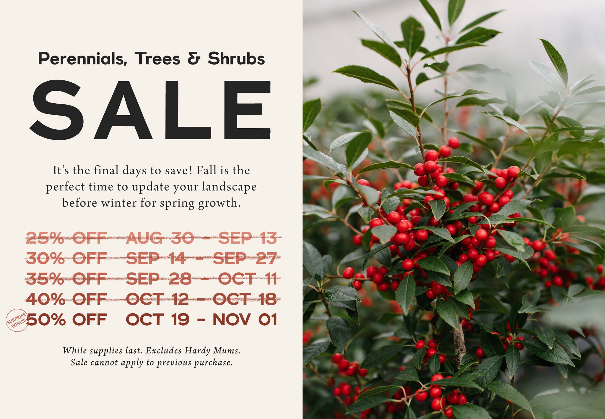 Perennials, Trees and Shrubs SALE at Hoen's Garden Center