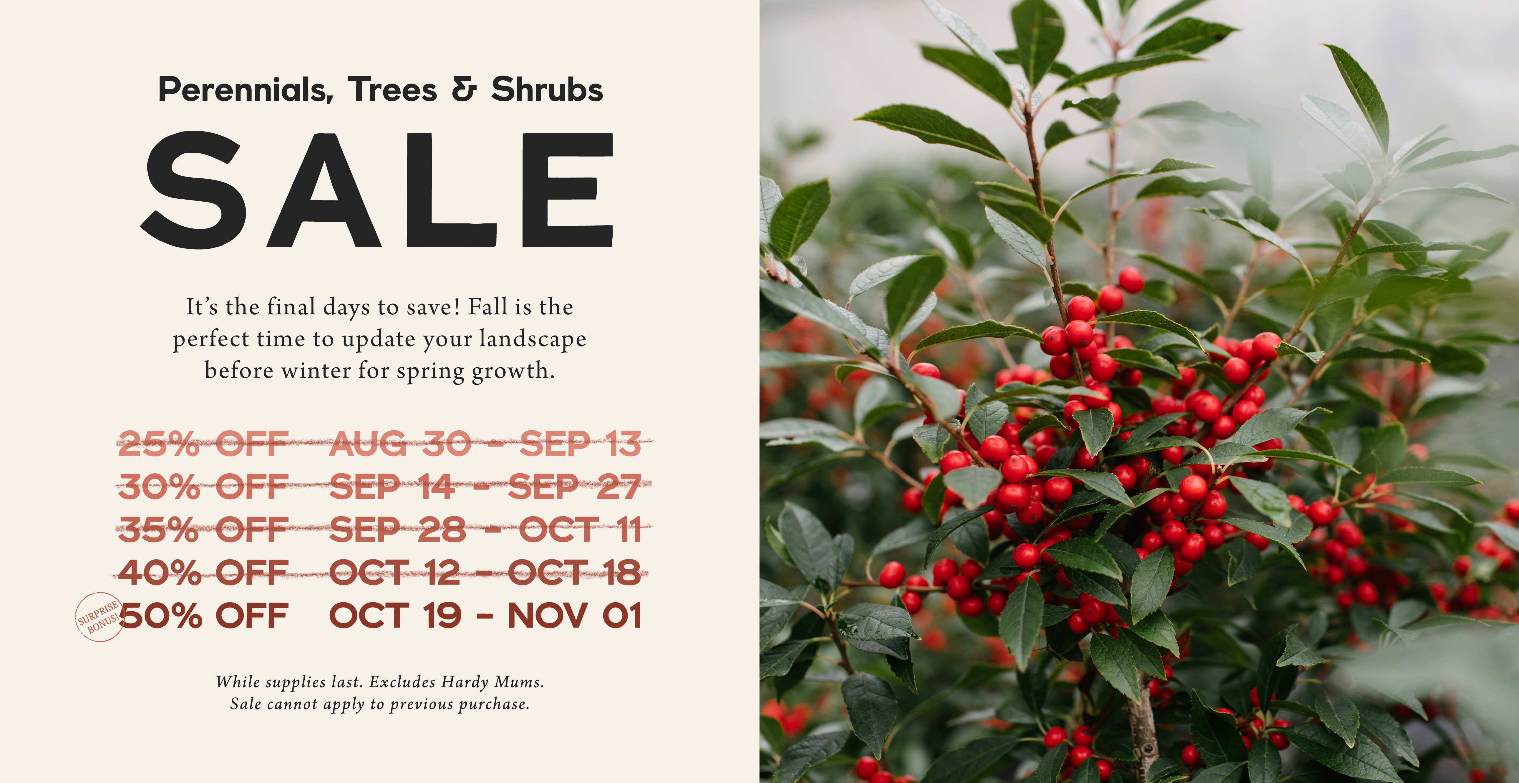 Perennials, Trees and Shrubs SALE at Hoen's Garden Center