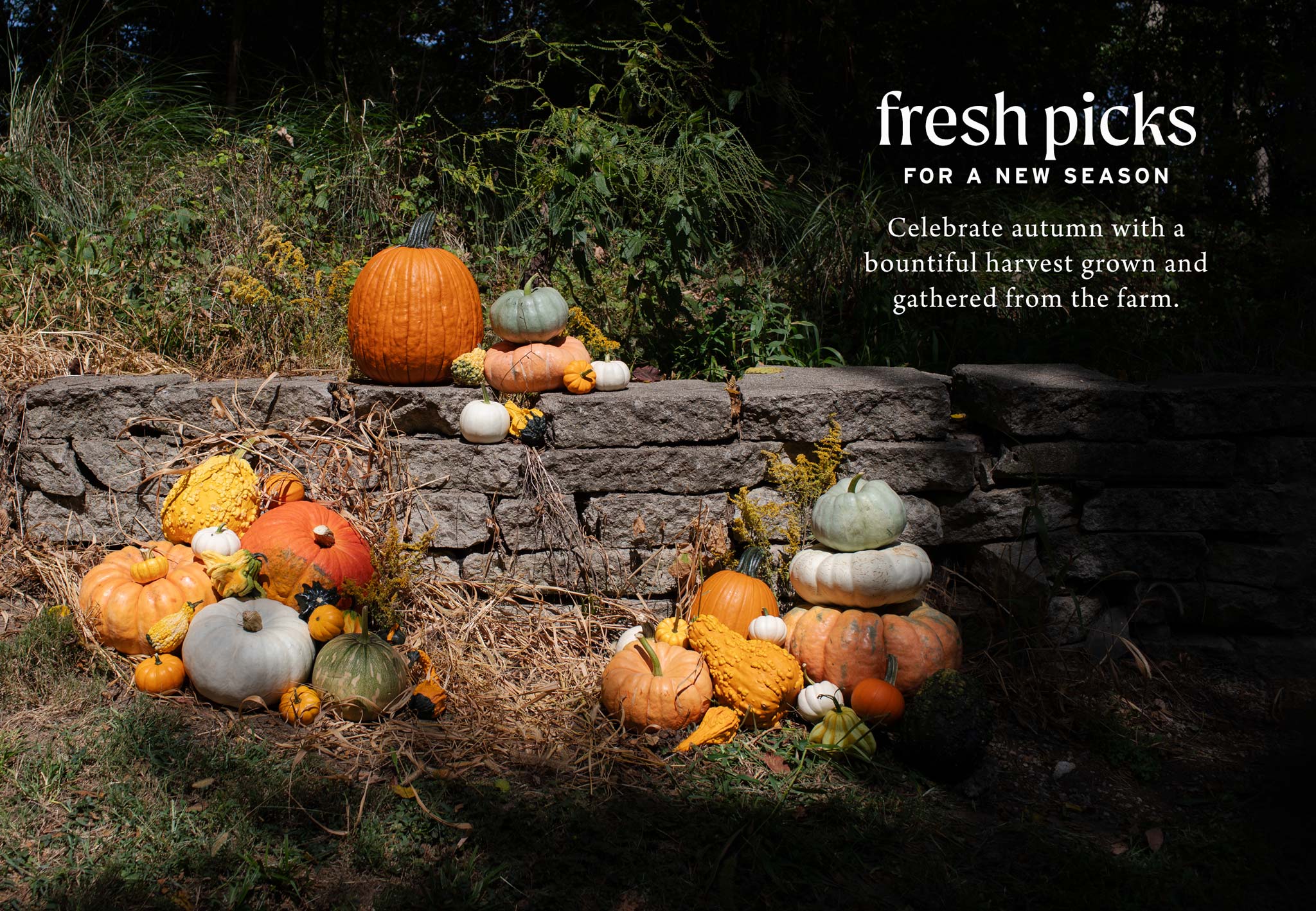 Fresh Picks For A New Season at Hoen's Garden Center