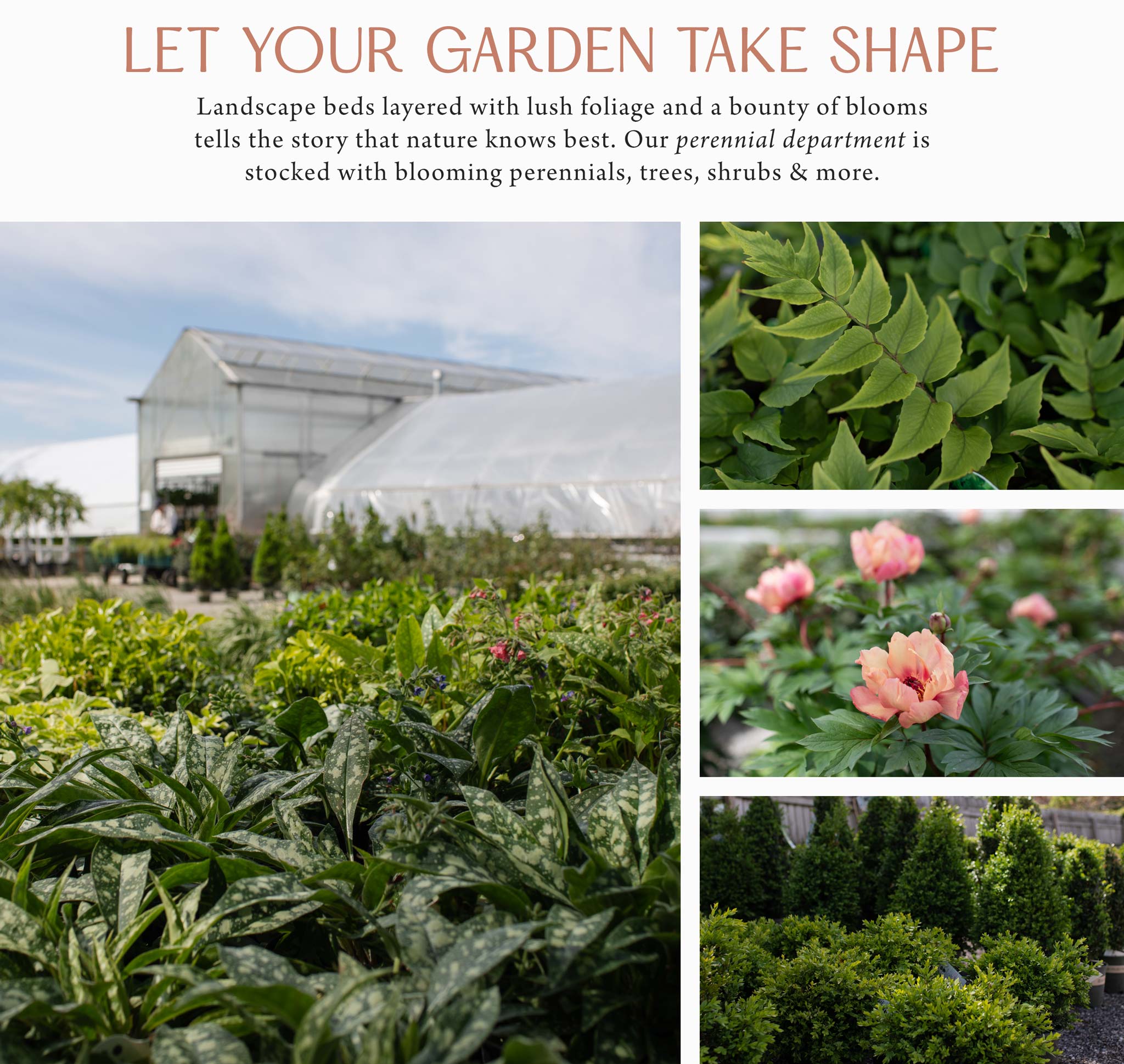 Let Your Garden Take Shape at Hoen's Garden Center