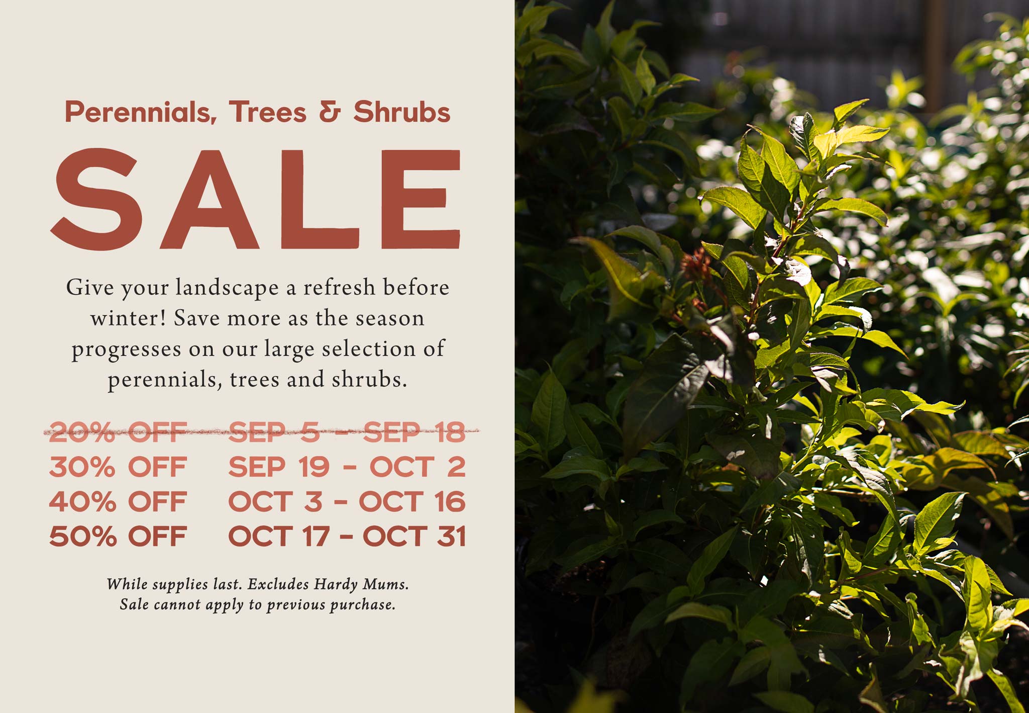 Perennials, Trees and Shrubs SALE at Hoen's Garden Center