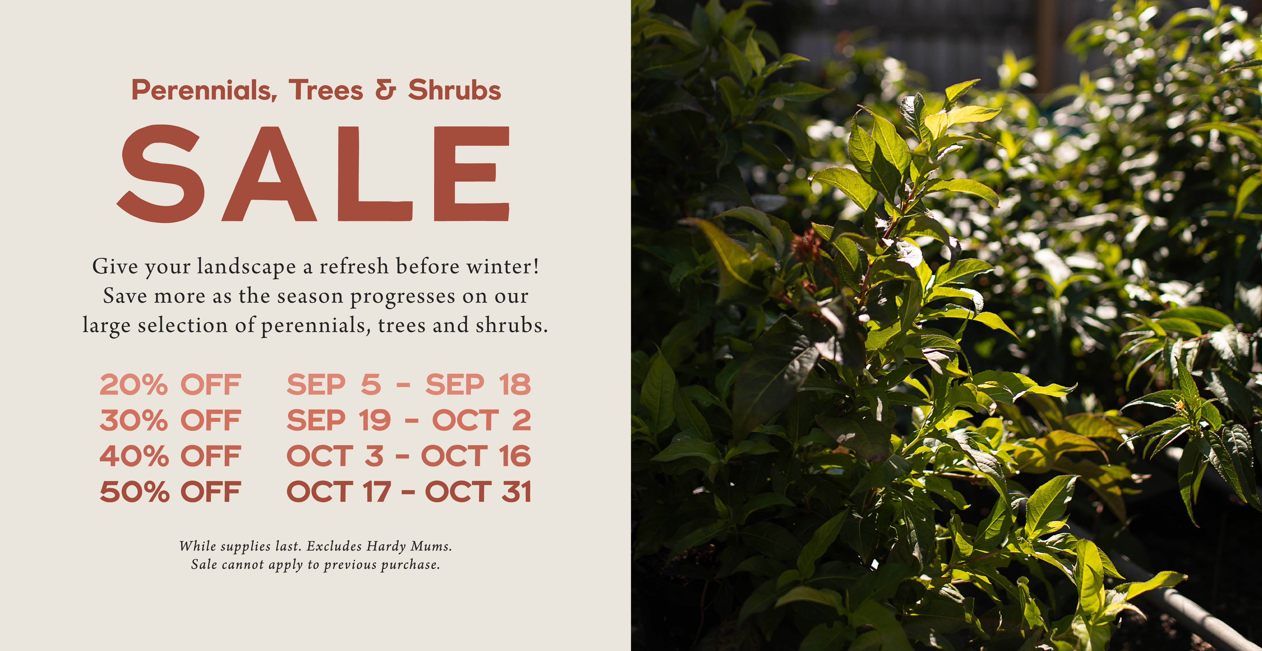 Perennials, Trees and Shrubs SALE at Hoen's Garden Center